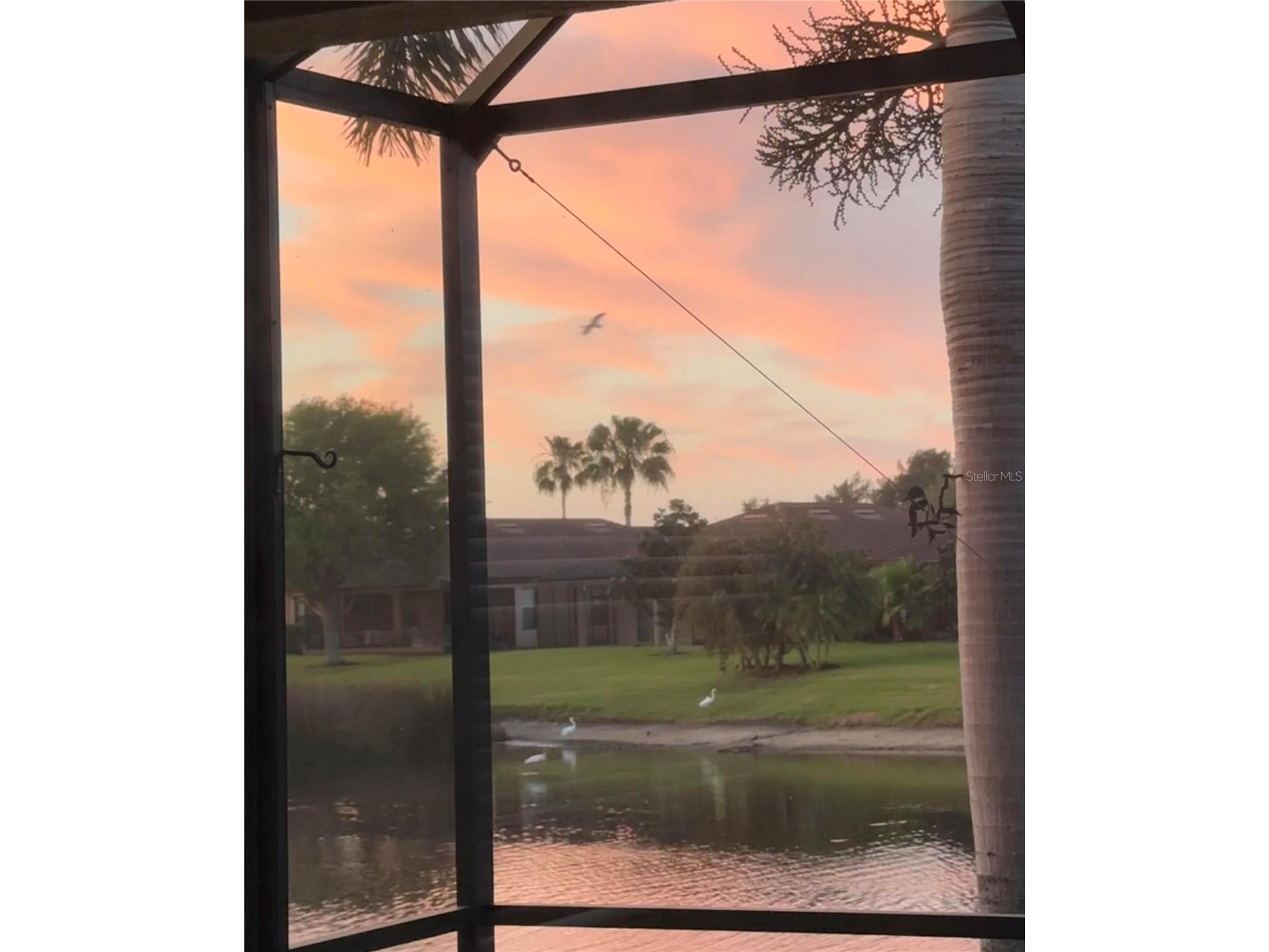 352 Laurel Falls Drive Apollo Beach FL 33572 TB8494650 image8