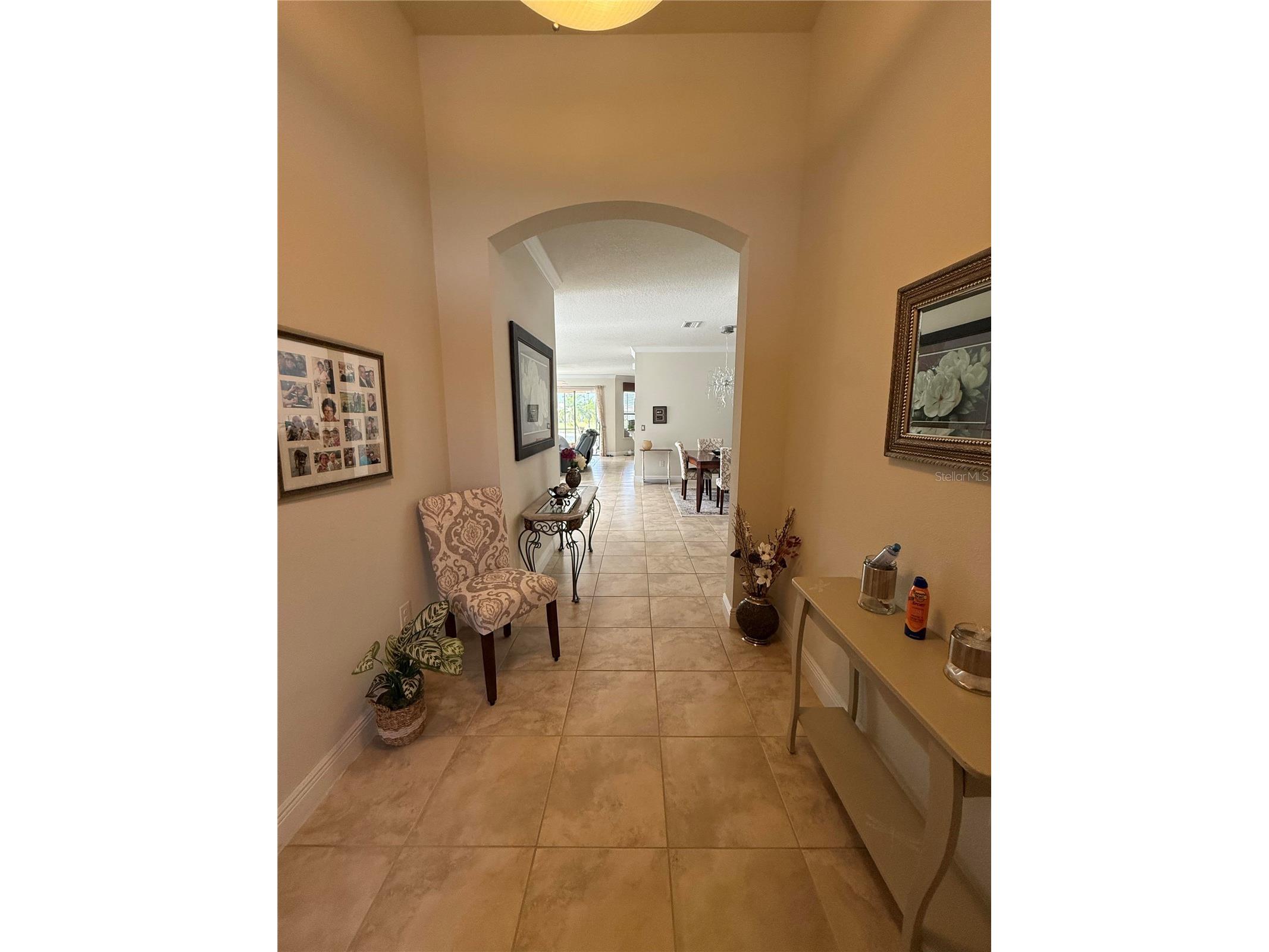 352 Laurel Falls Drive Apollo Beach FL 33572 TB8494650 image9