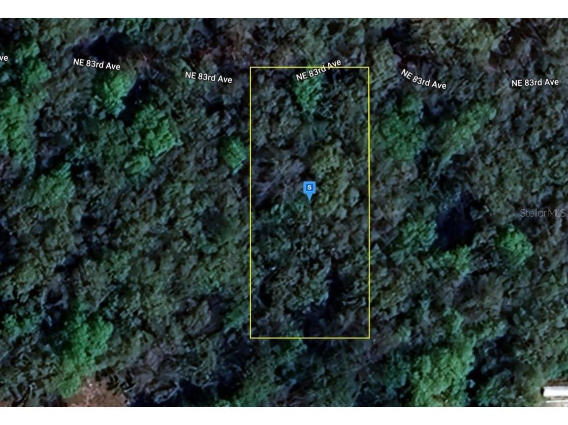 352 NE 83rd Avenue Old Town FL 32680 A4629927 image1