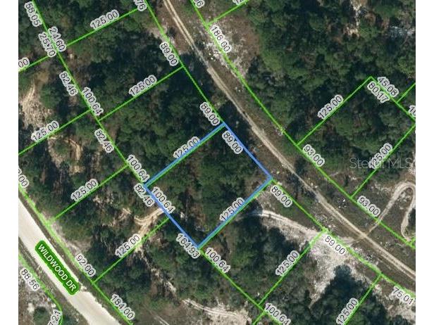 352 Summer Hill Drive Lake Placid FL 33852 OM621761 image1