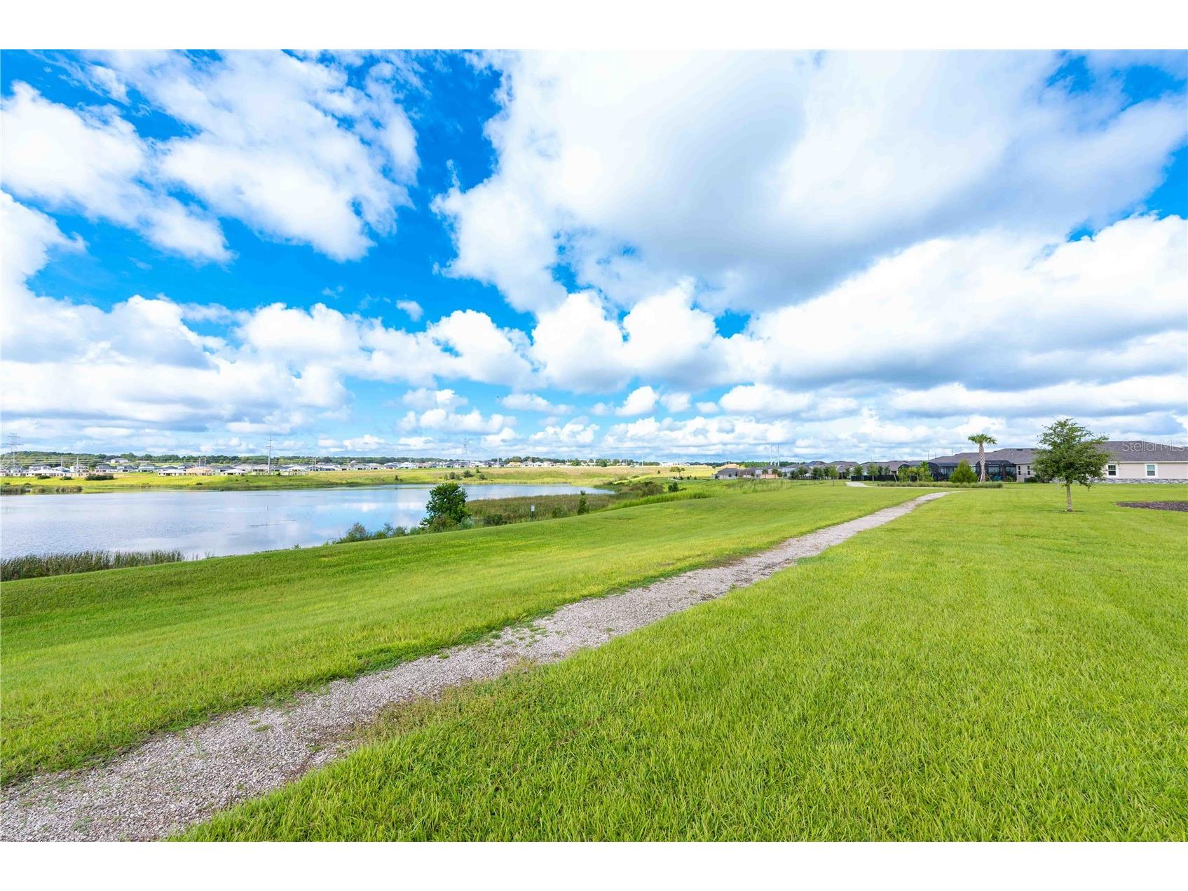 3520 Banana Shrub Boulevard Clermont FL 34711 O6403815 image41