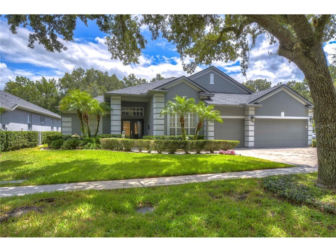 3520 Cordgrass Drive Valrico FL 33596 T3469073 image1