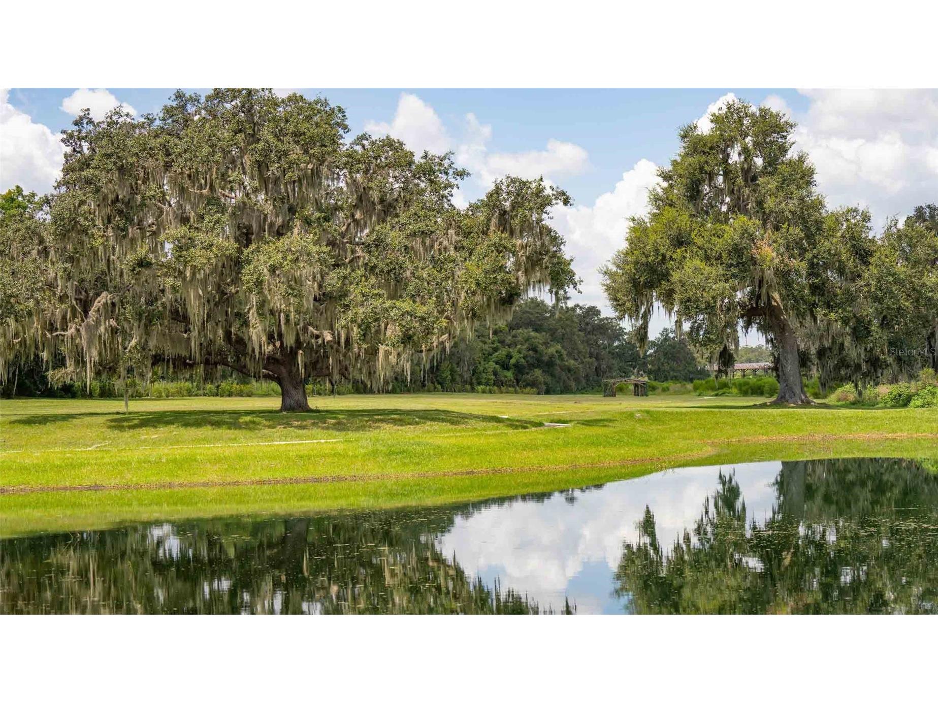 3520 Maple Grove Way Plant City FL 33565 S5148885 image28
