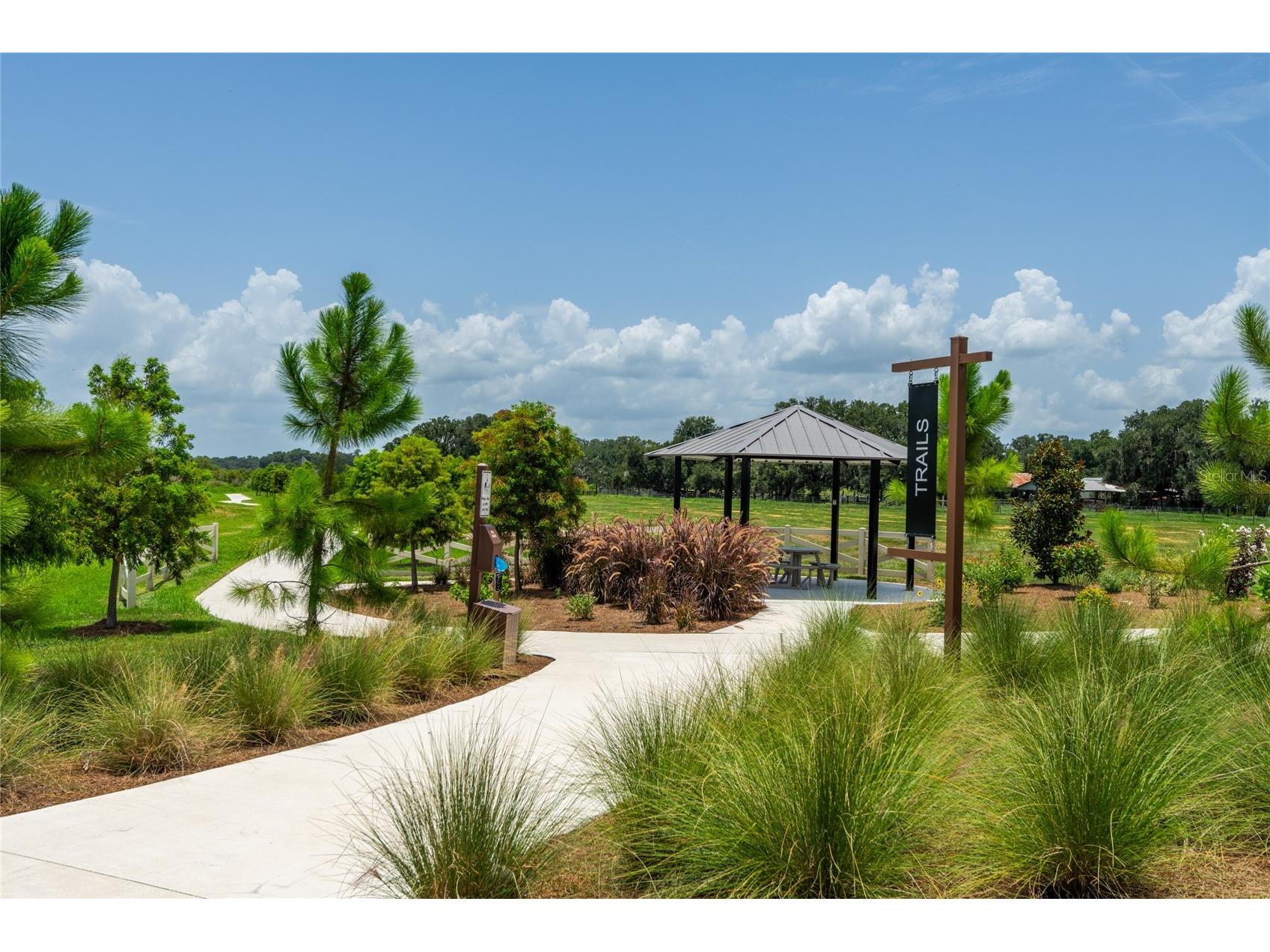 3520 Maple Grove Way Plant City FL 33565 TB8529360 image52