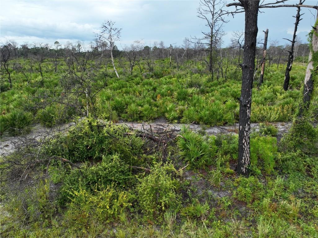 3520 Mariana Avenue Lake Placid FL 33852 O6312709 image1