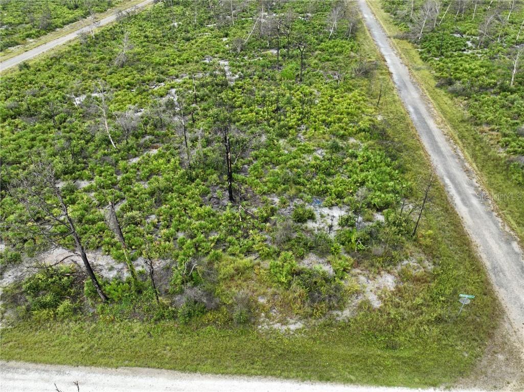 3520 Mariana Avenue Lake Placid FL 33852 O6312709 image3