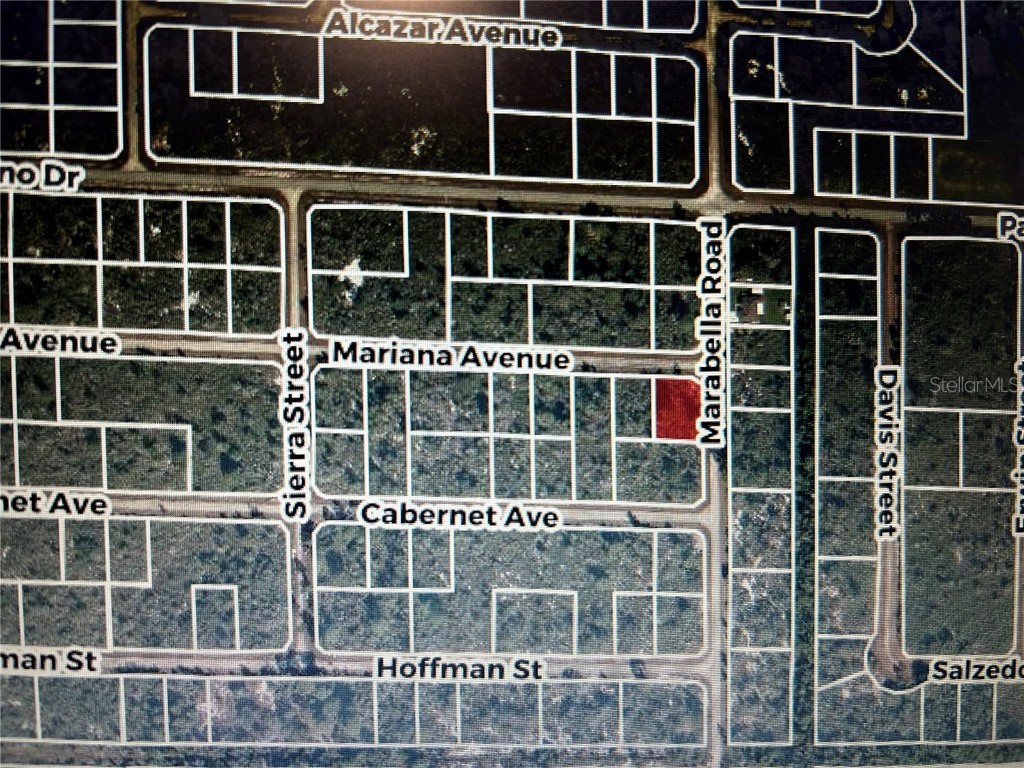 3520 Mariana Avenue Lake Placid FL 33852 O6312709 image5