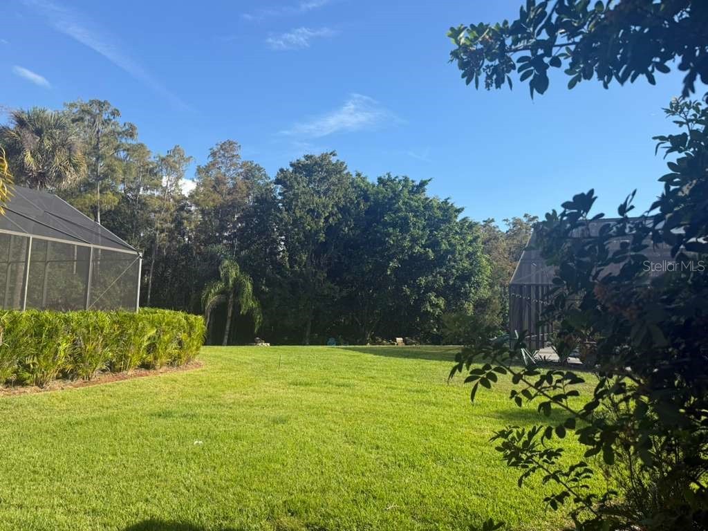 3520 Ocita Dr. Orlando FL 32837 S5138203 image24