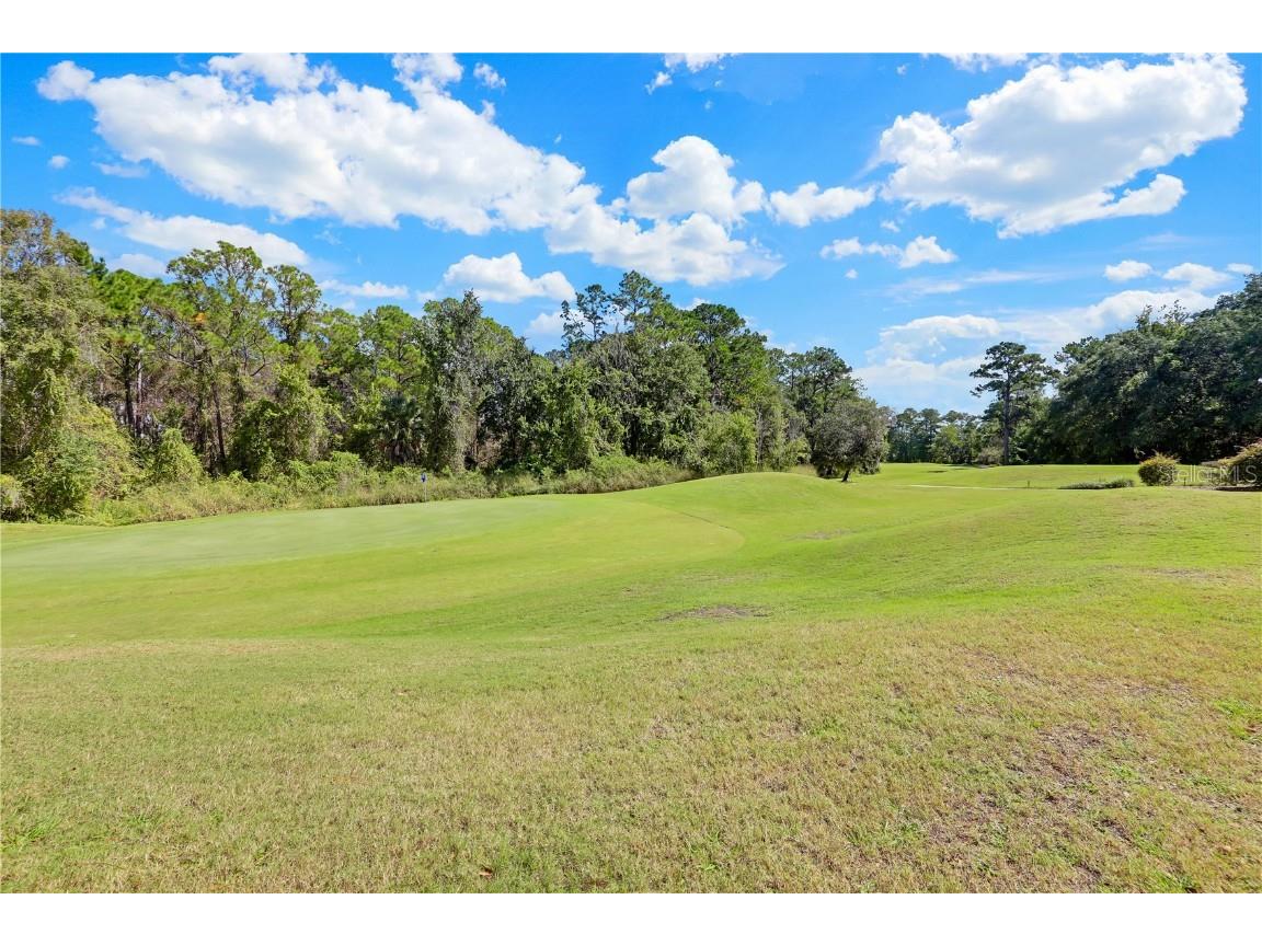 3520 Oglebay Drive Green Cove Springs FL 32043 FC313556 image55