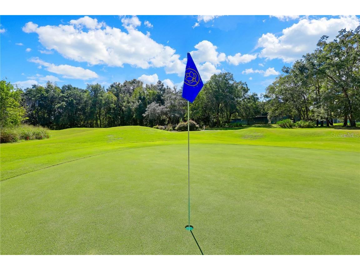 3520 Oglebay Drive Green Cove Springs FL 32043 FC313556 image56