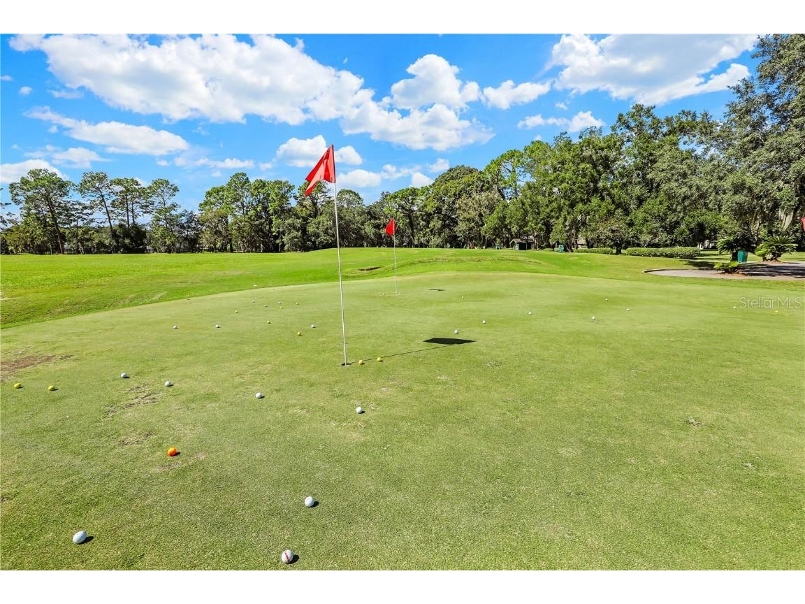 3520 Oglebay Drive Green Cove Springs FL 32043 FC313556 image57