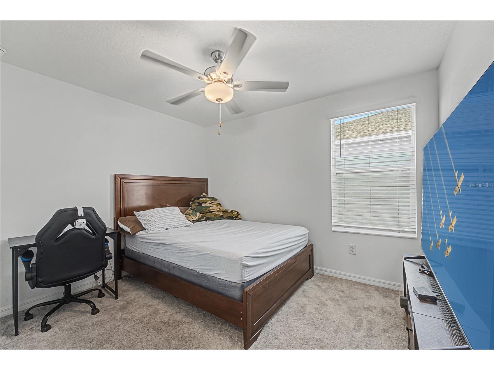 35202 Ackley Trace Zephyrhills FL 33541 TB8478141 image27