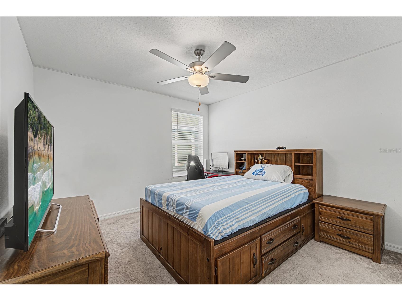 35202 Ackley Trace Zephyrhills FL 33541 TB8478141 image28