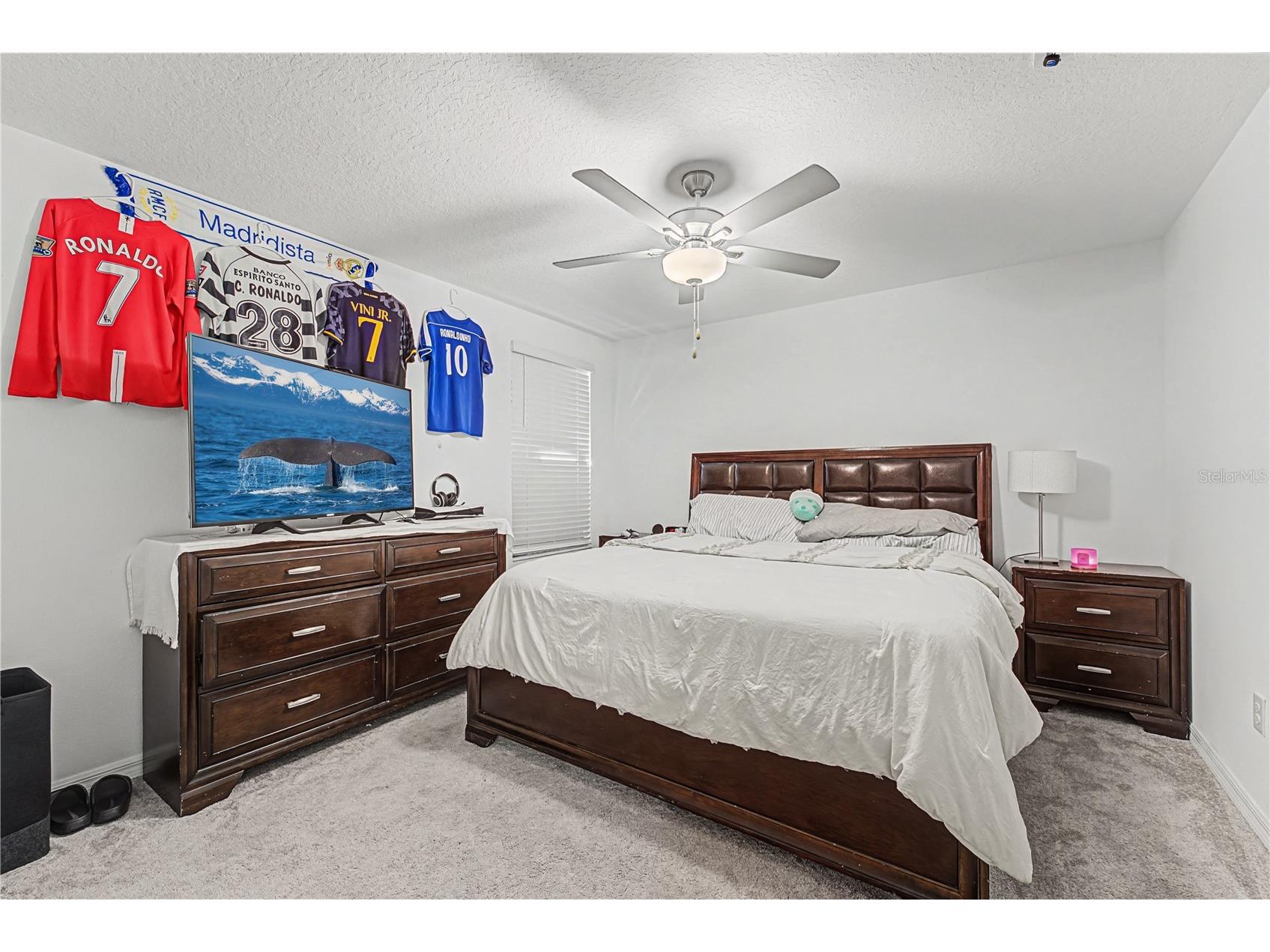 35202 Ackley Trace Zephyrhills FL 33541 TB8478141 image29