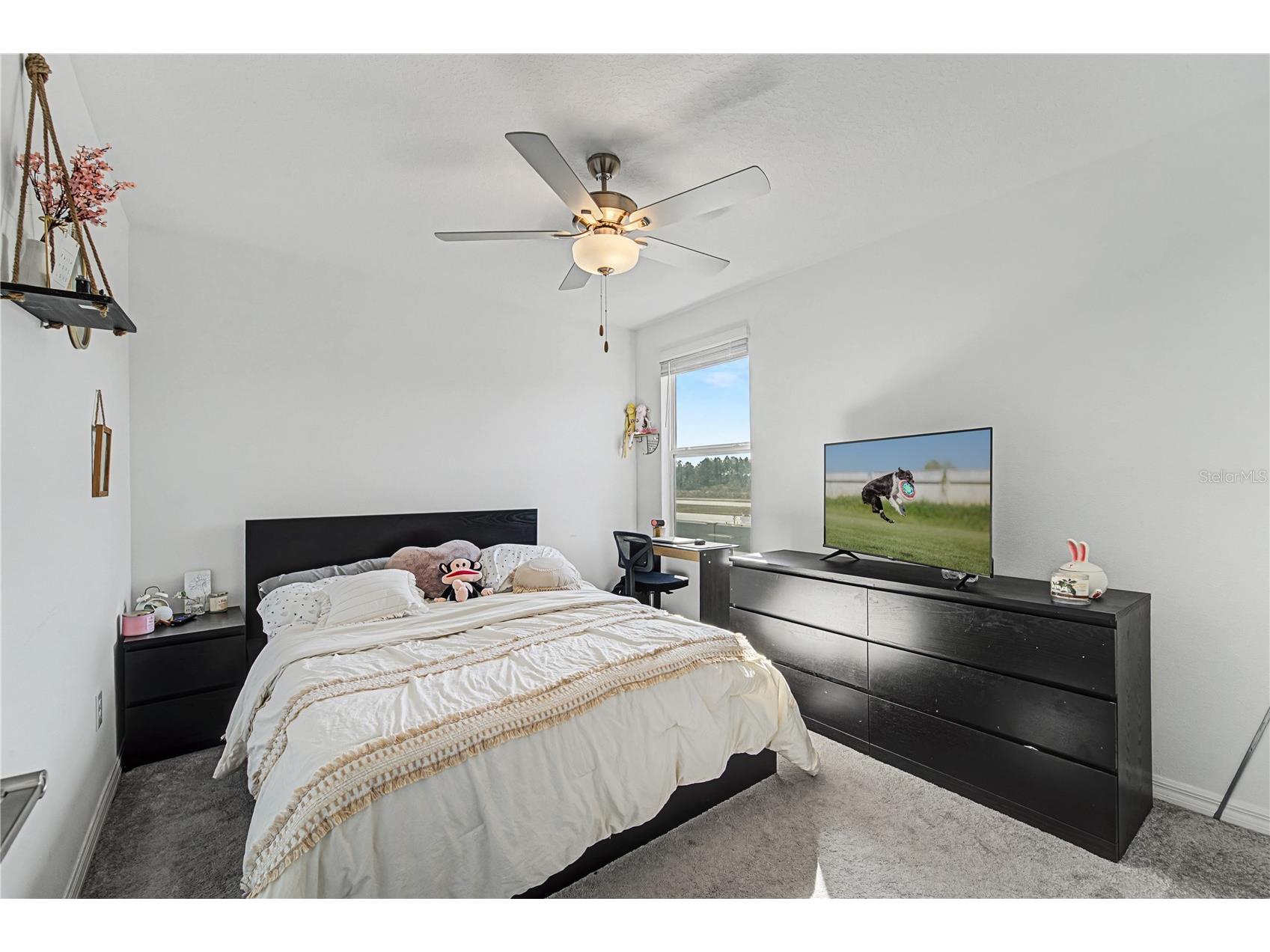 35202 Ackley Trace Zephyrhills FL 33541 TB8478141 image31