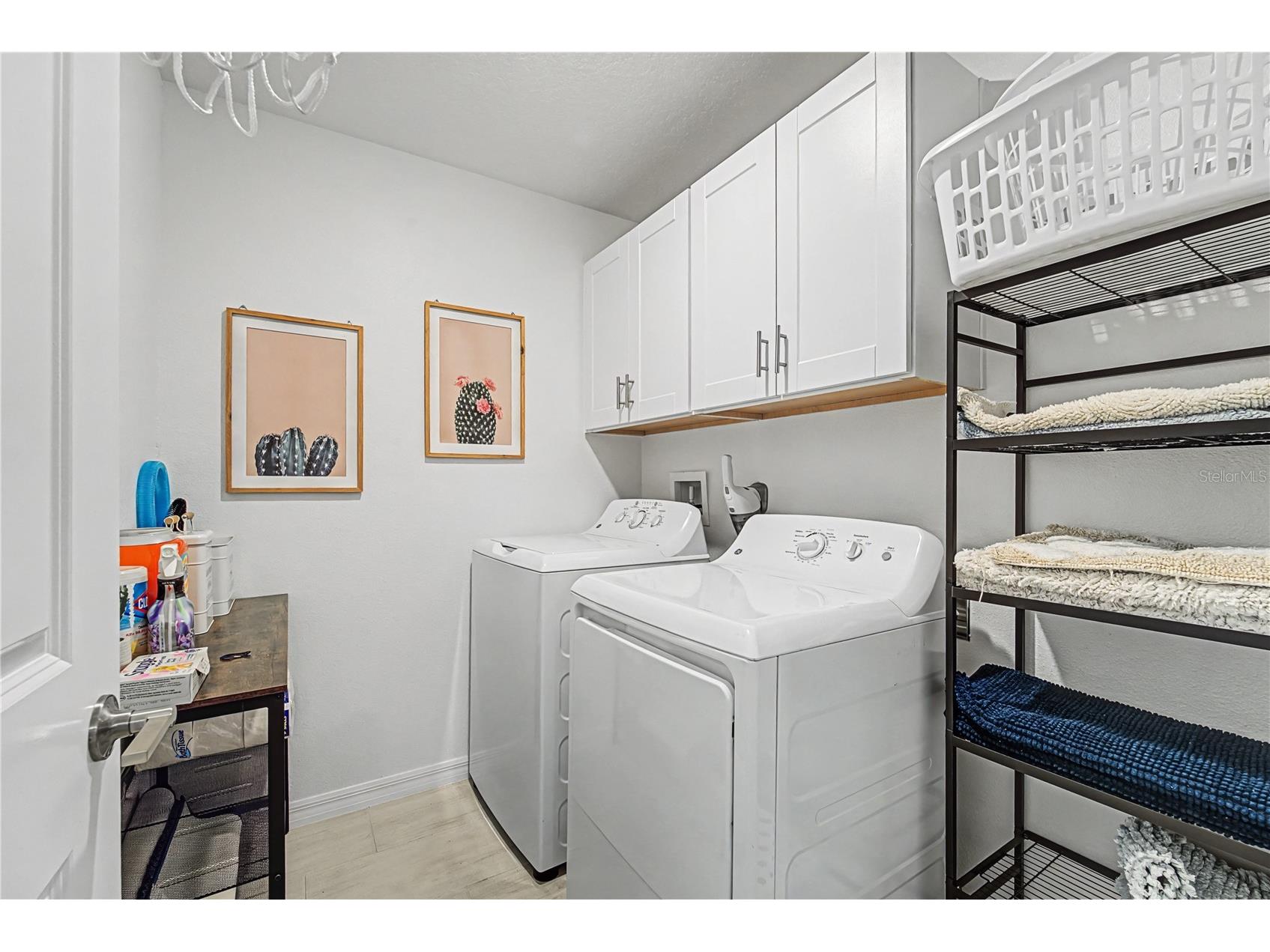 35202 Ackley Trace Zephyrhills FL 33541 TB8478141 image35