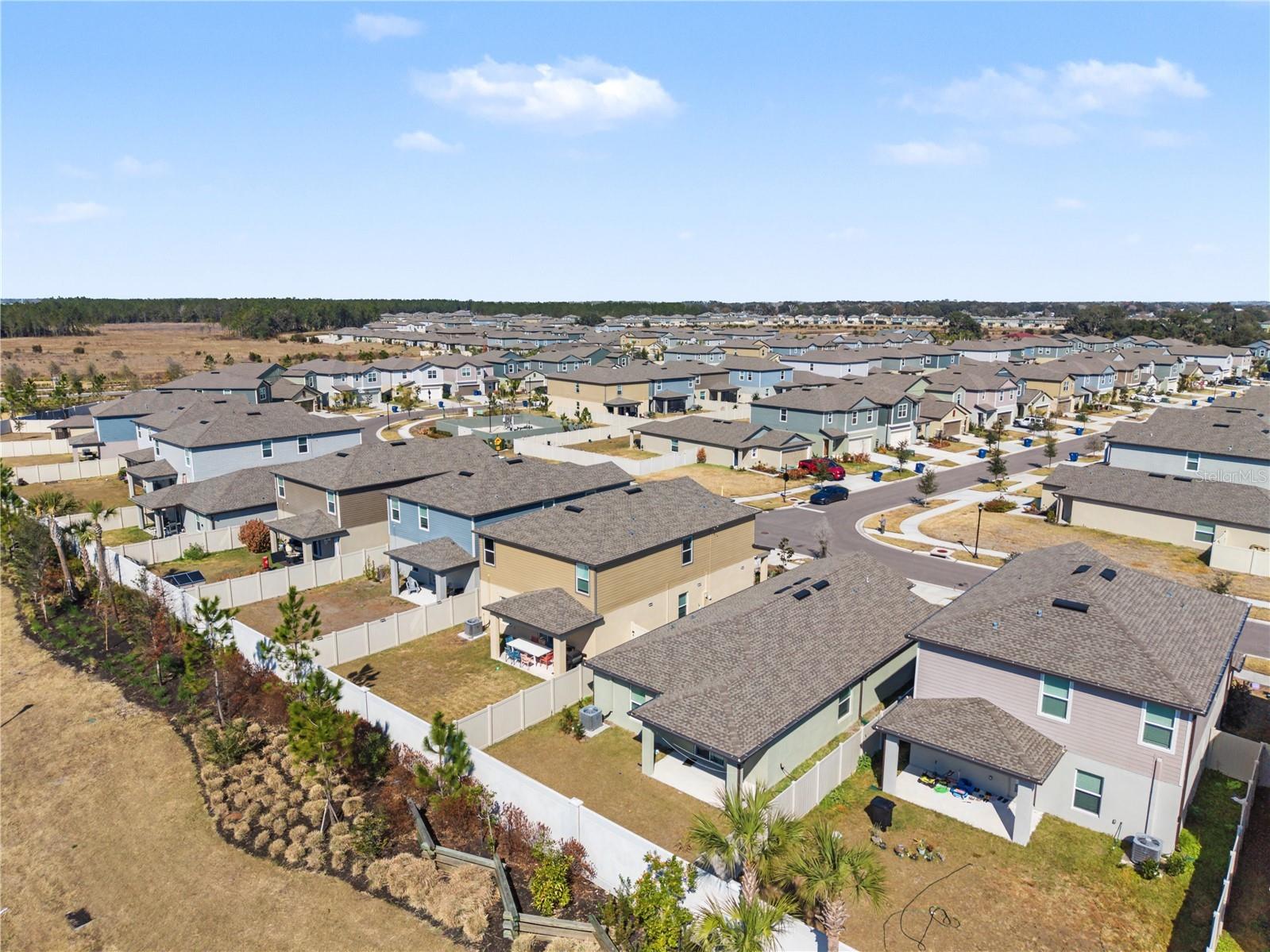 35202 Ackley Trace Zephyrhills FL 33541 TB8478141 image49