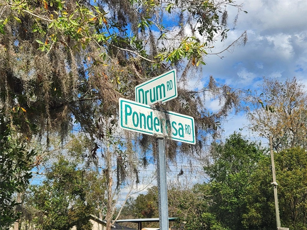 35204 Ponderosa Road Zephyrhills FL 33541 TB8418082 image40