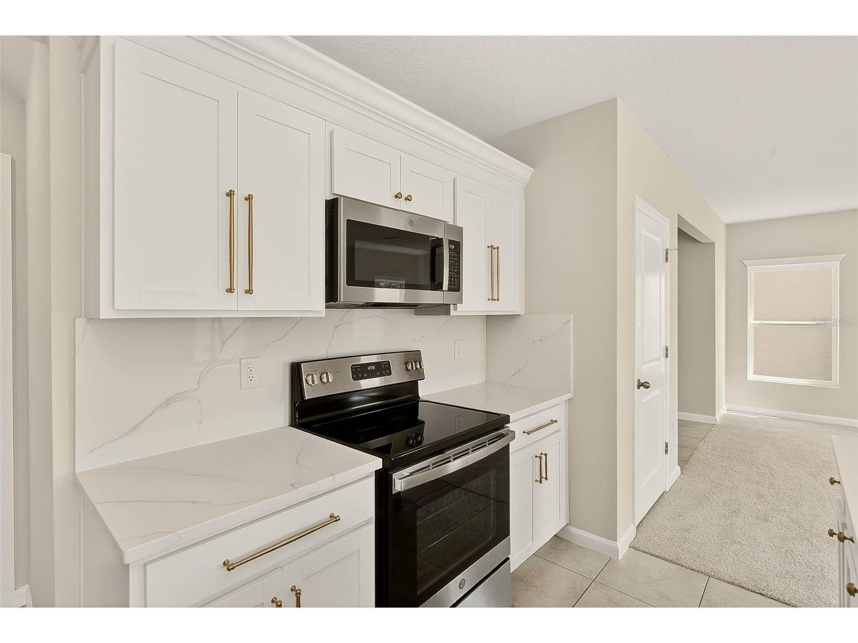35206 Brienne Street Zephyrhills FL 33541 TB8493894 image22