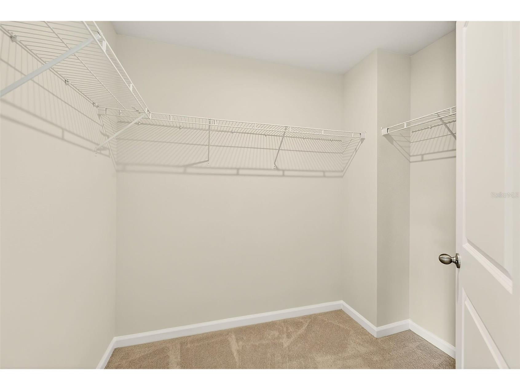 35206 Brienne Street Zephyrhills FL 33541 TB8493894 image31