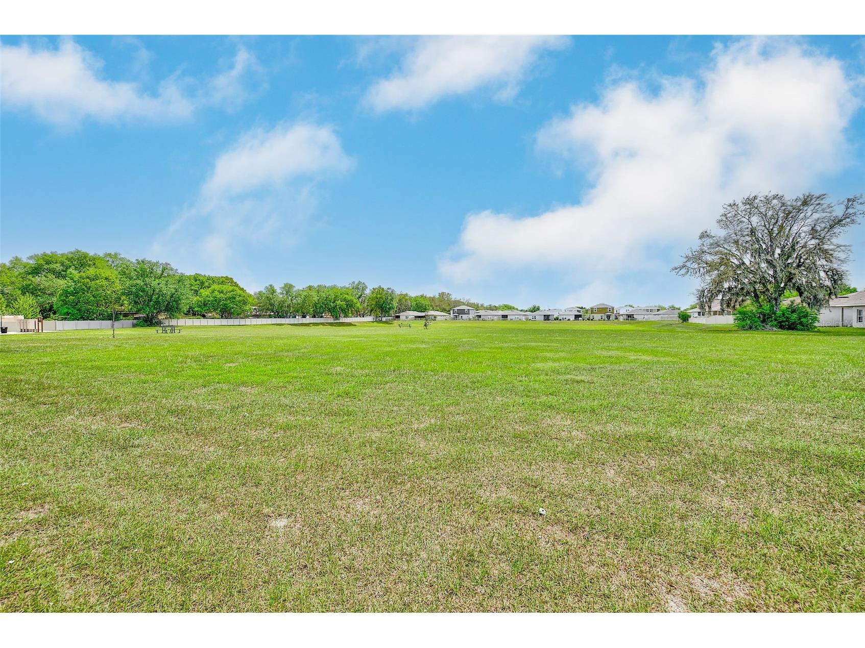 35206 Brienne Street Zephyrhills FL 33541 TB8493894 image47