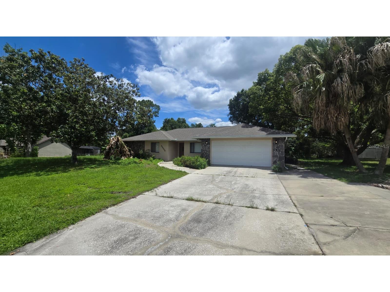 35208 Dolphin Lake Drive Zephyrhills FL 33541 TB8517331 image1