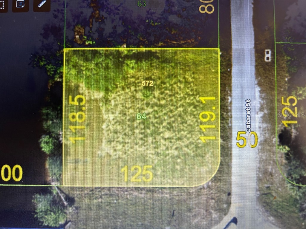 3521 Cabaret/17290 Edgewater Dr Drive Port Charlotte FL 33948 - COMO WATERWAY C7481269 image1