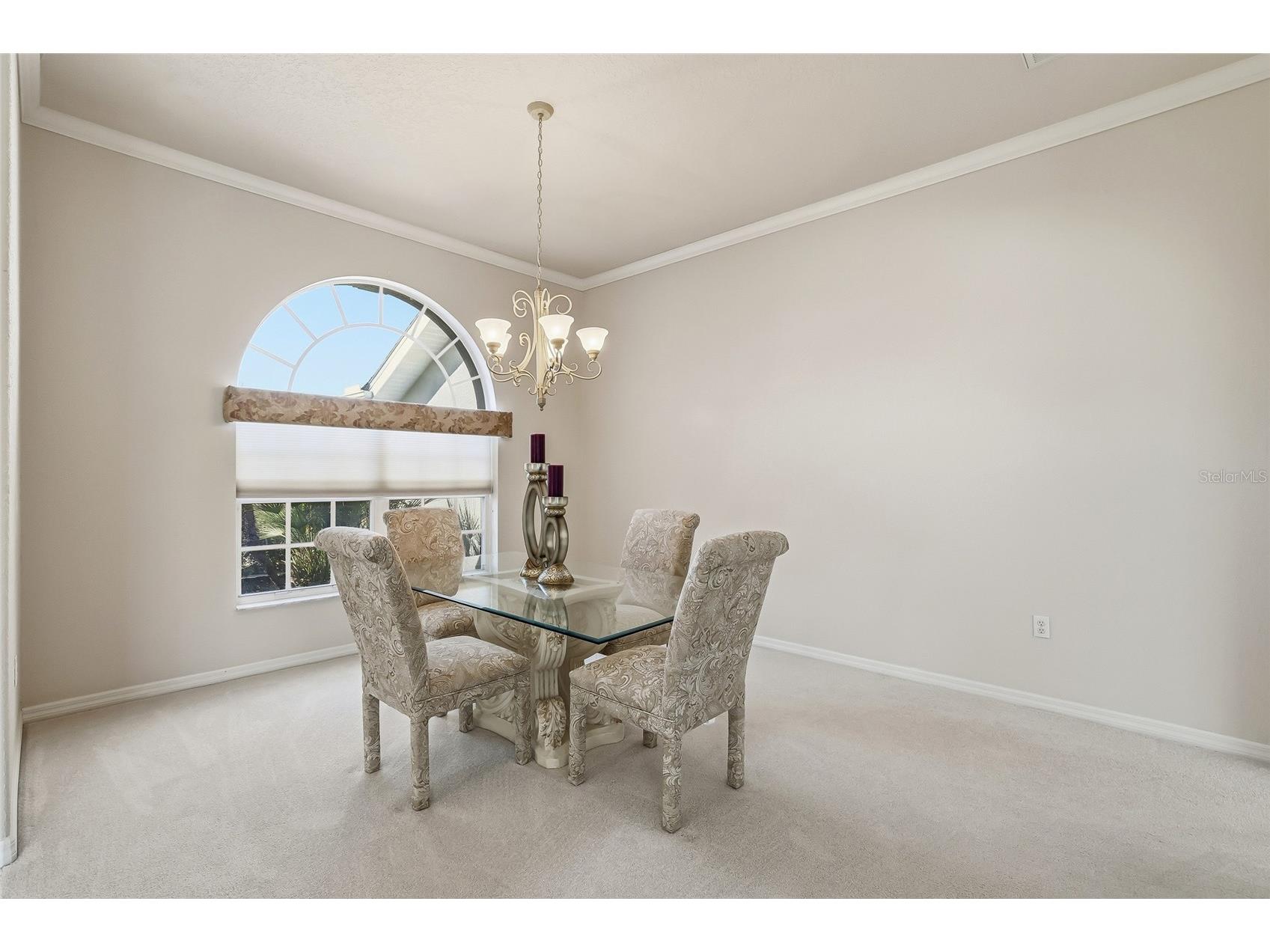 3521 Conifer Loop Spring Hill FL 34609 TB8484457 image13