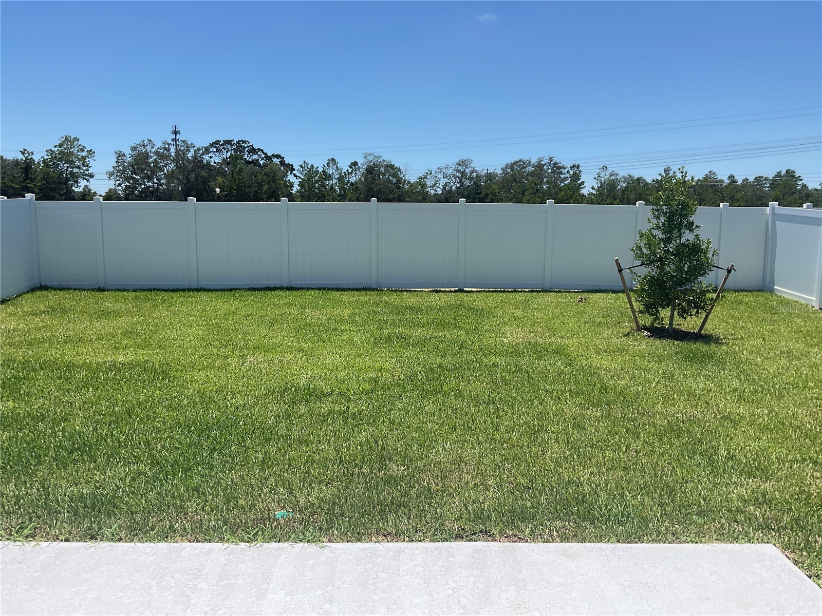 3521 Hornbeam Road Spring Hill FL 34609 G5114383 image5