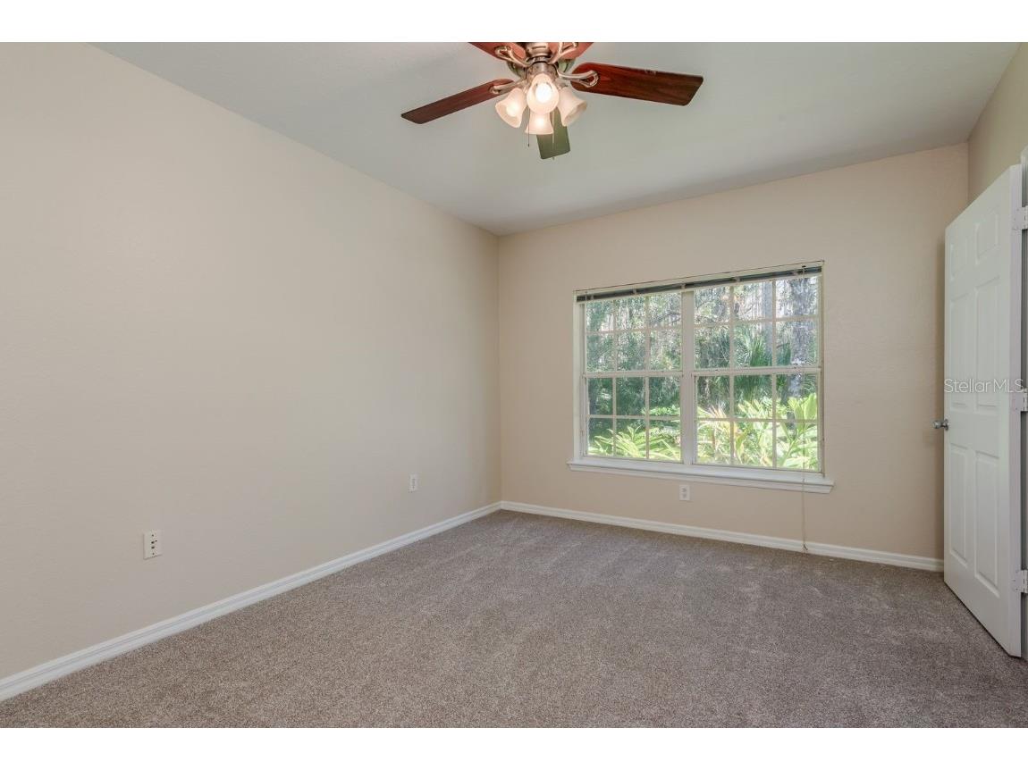 3521 Kings Road #102 Palm Harbor FL 34685 TB8454425 image15