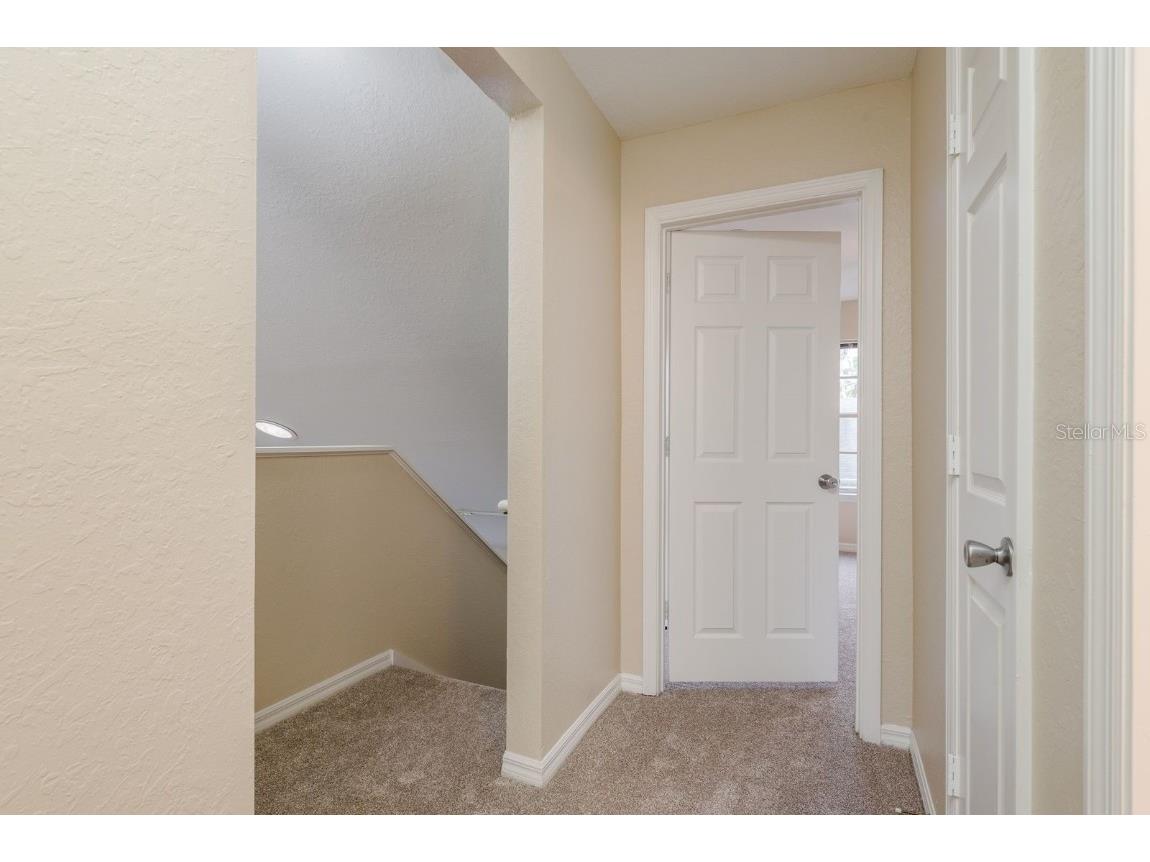 3521 Kings Road #102 Palm Harbor FL 34685 TB8454425 image18