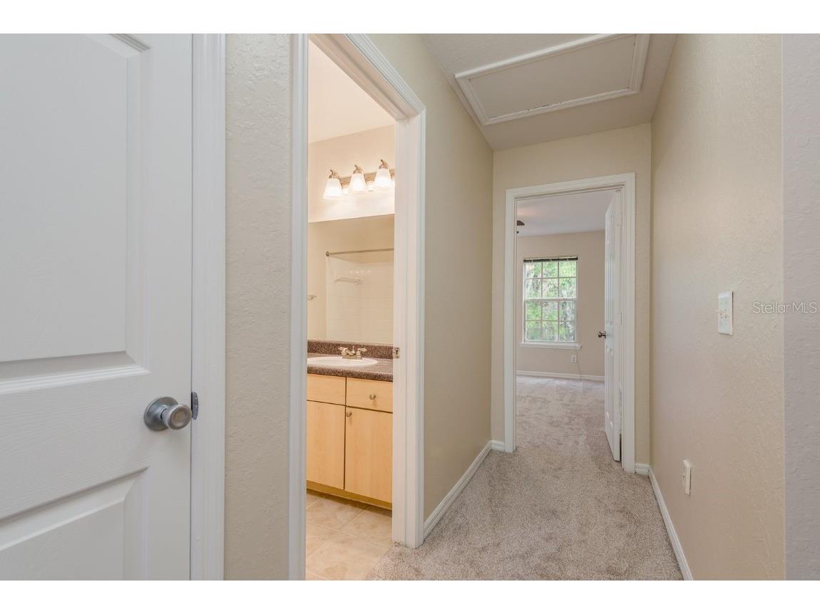 3521 Kings Road #102 Palm Harbor FL 34685 TB8454425 image19