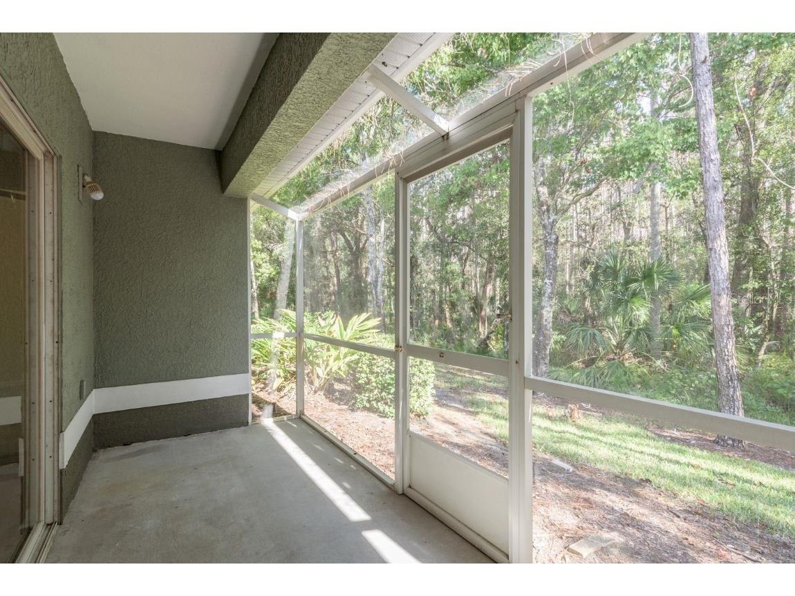 3521 Kings Road #102 Palm Harbor FL 34685 TB8454425 image26