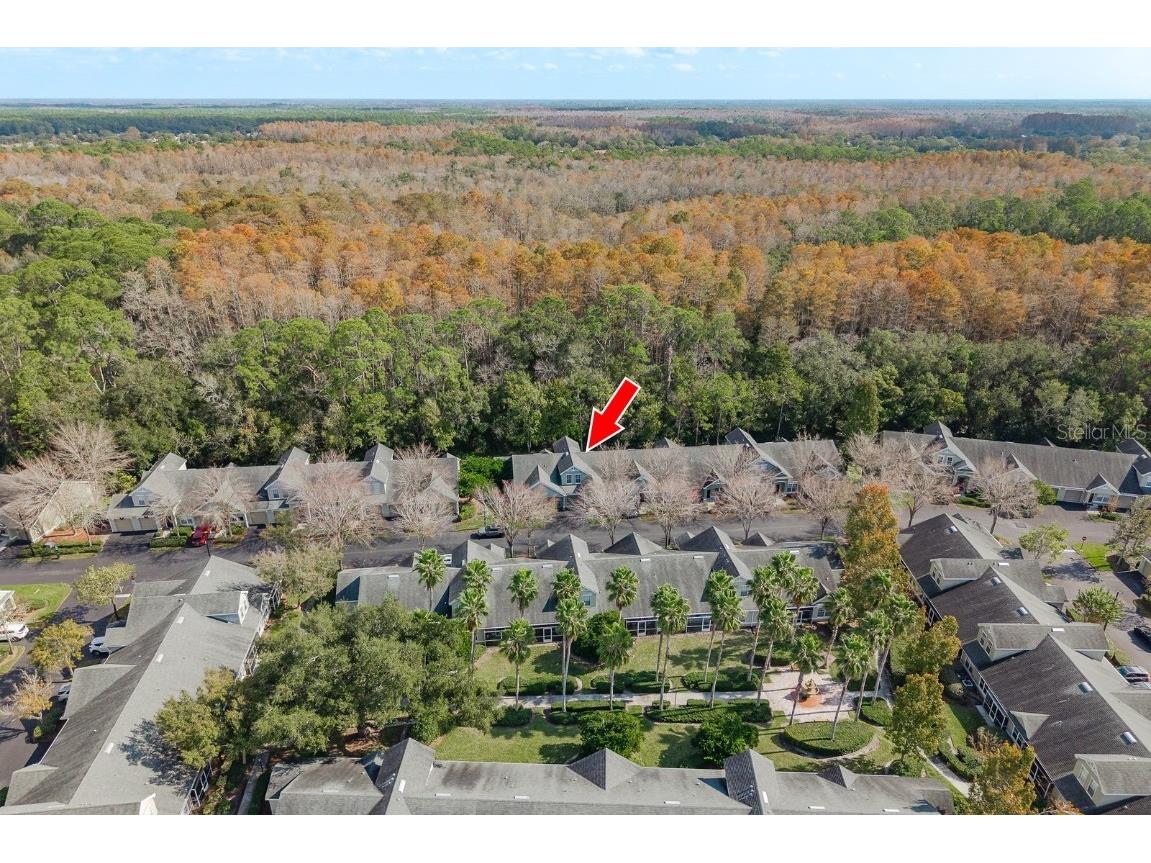 3521 Kings Road #102 Palm Harbor FL 34685 TB8454425 image29