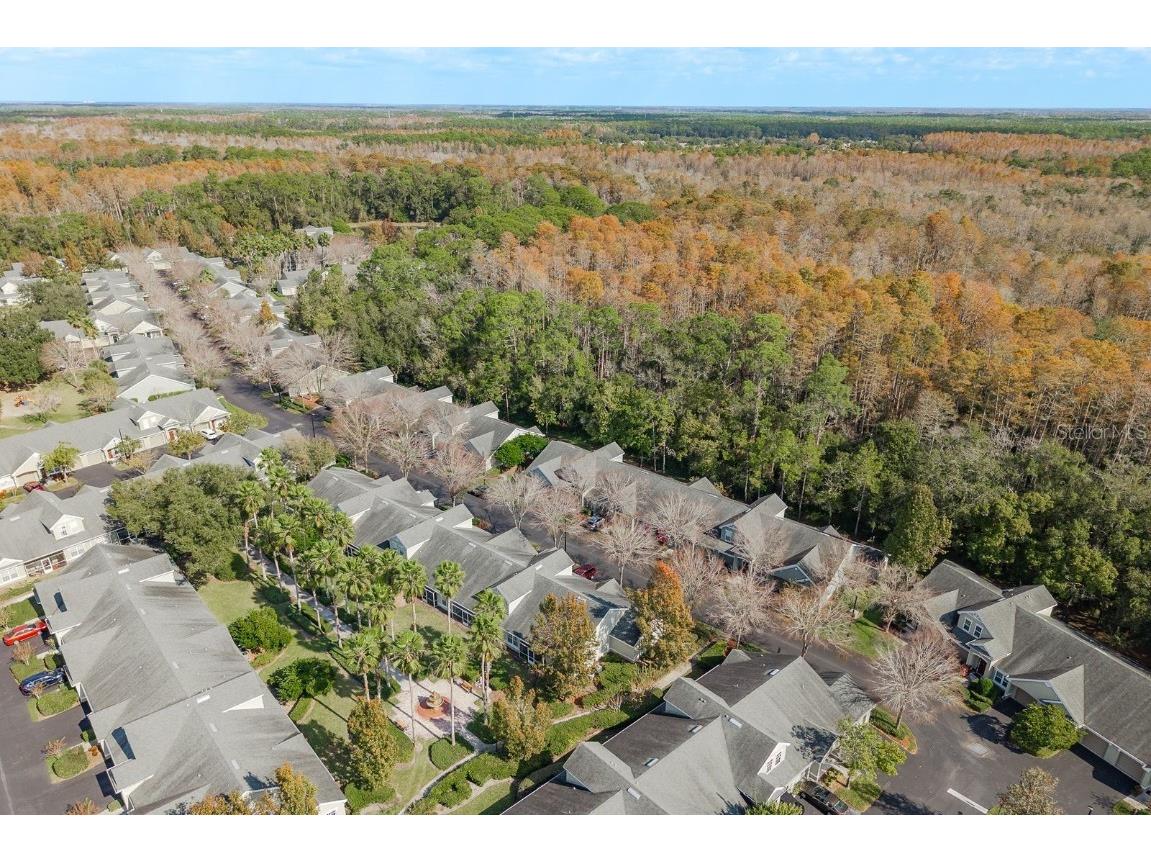 3521 Kings Road #102 Palm Harbor FL 34685 TB8454425 image33