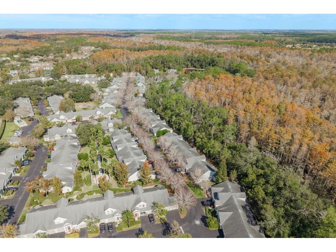 3521 Kings Road #102 Palm Harbor FL 34685 TB8454425 image34