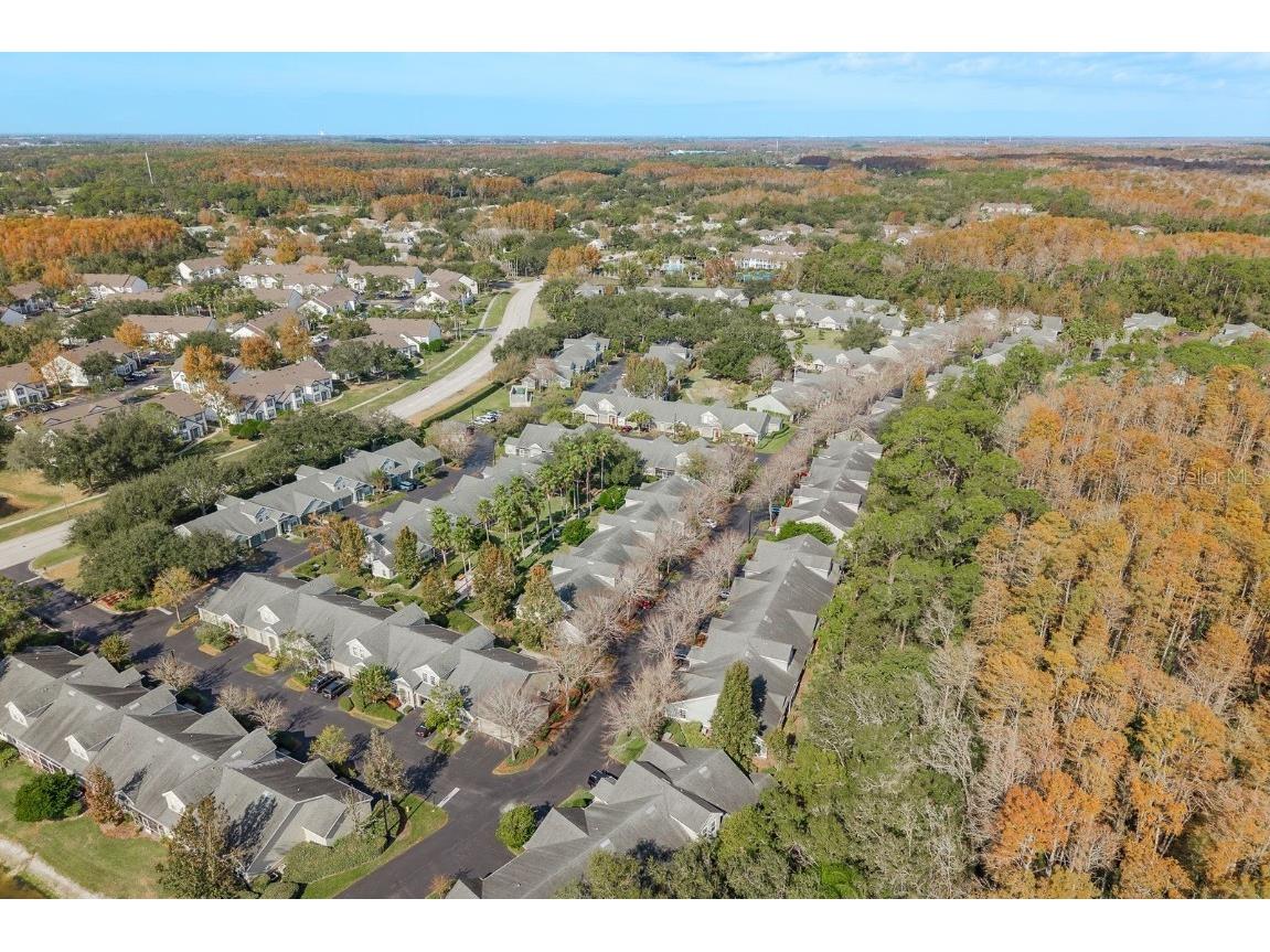 3521 Kings Road #102 Palm Harbor FL 34685 TB8454425 image35