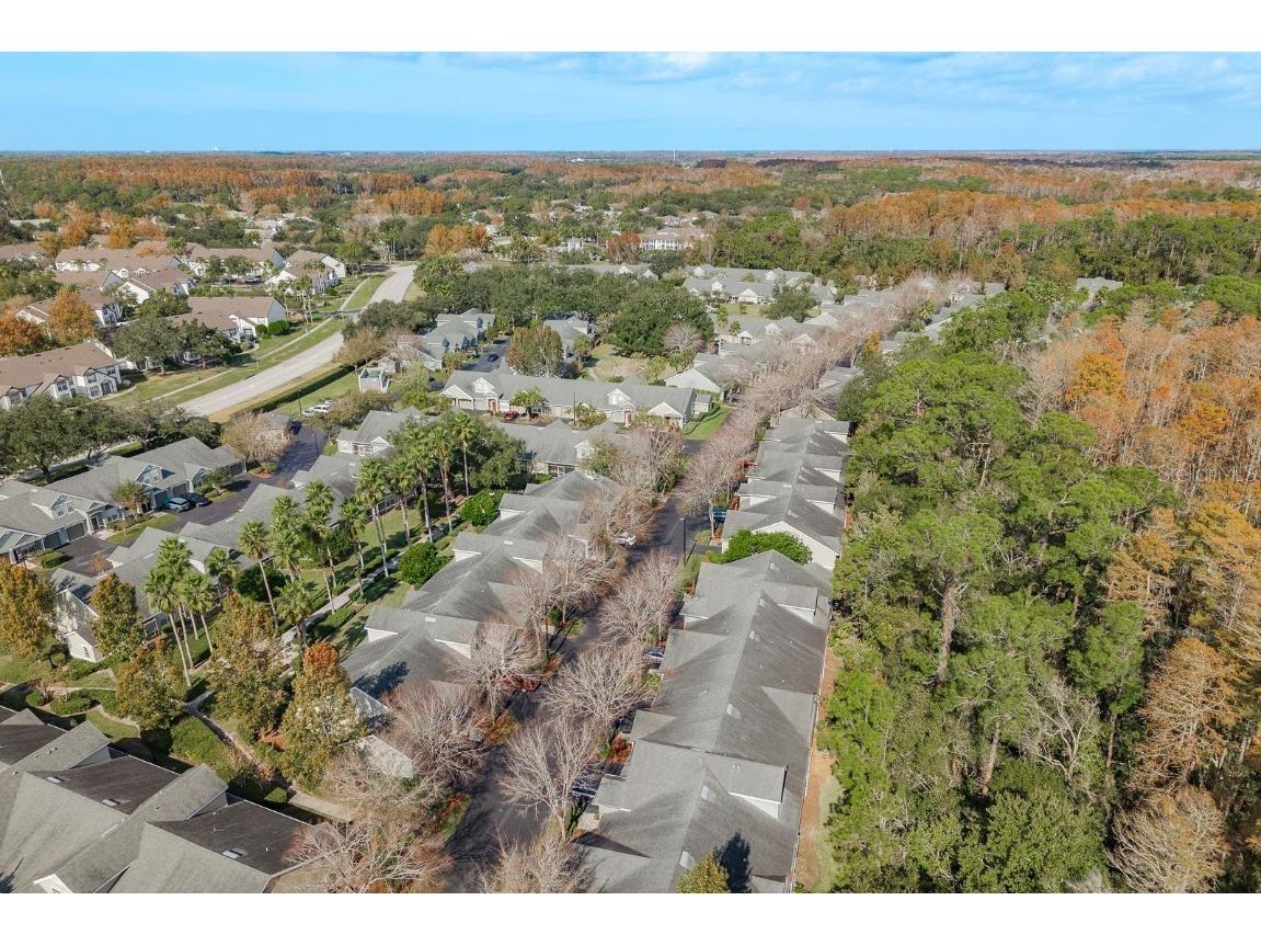 3521 Kings Road #102 Palm Harbor FL 34685 TB8454425 image36