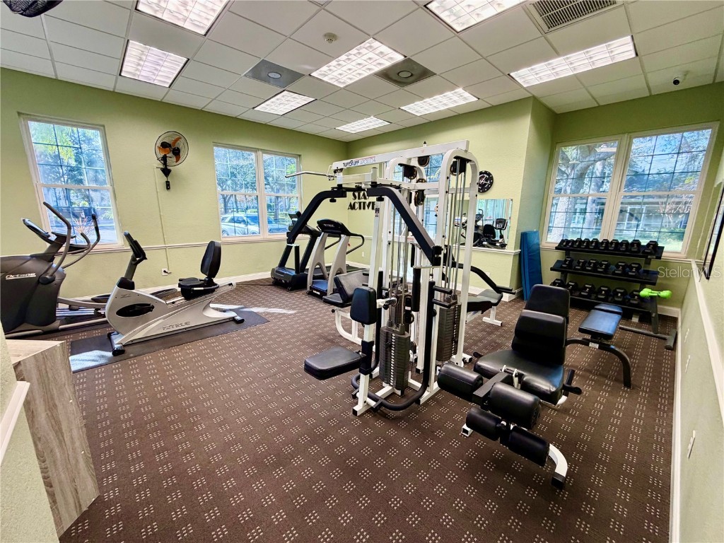 3521 Kings Road #102 Palm Harbor FL 34685 TB8454425 image40