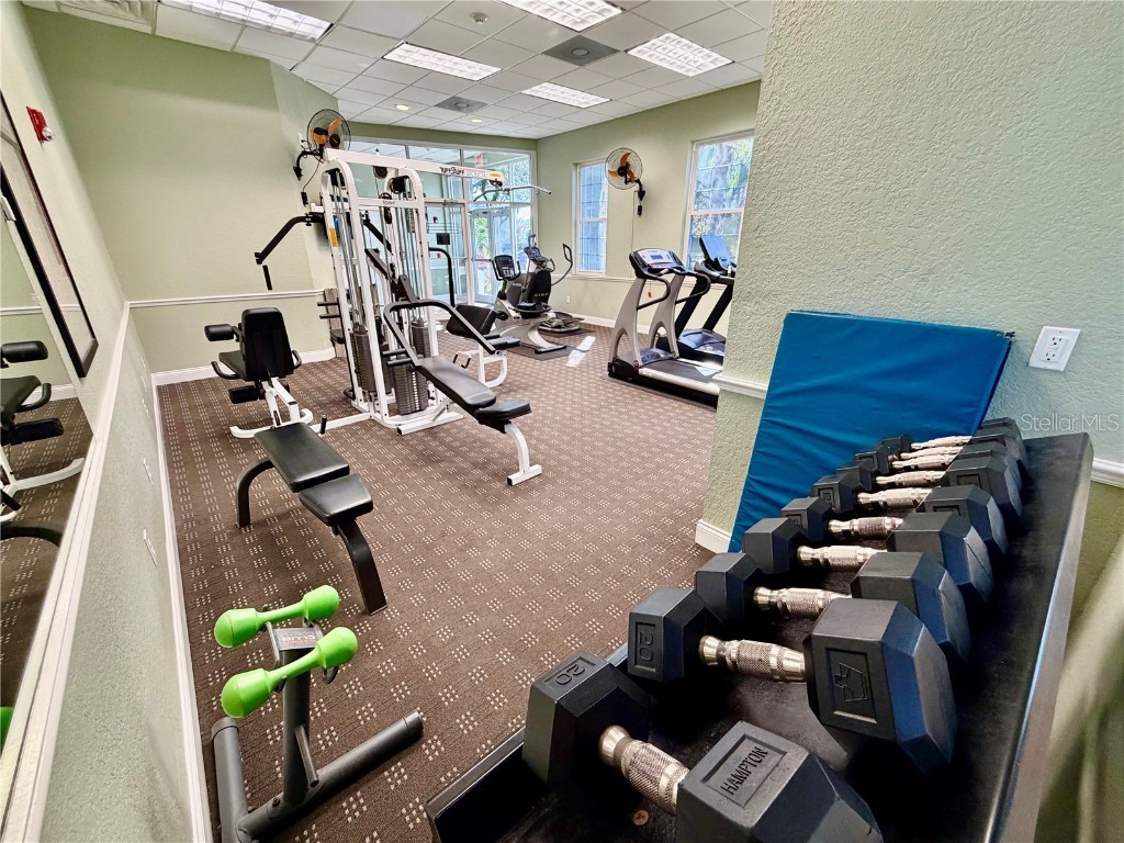 3521 Kings Road #102 Palm Harbor FL 34685 TB8454425 image41