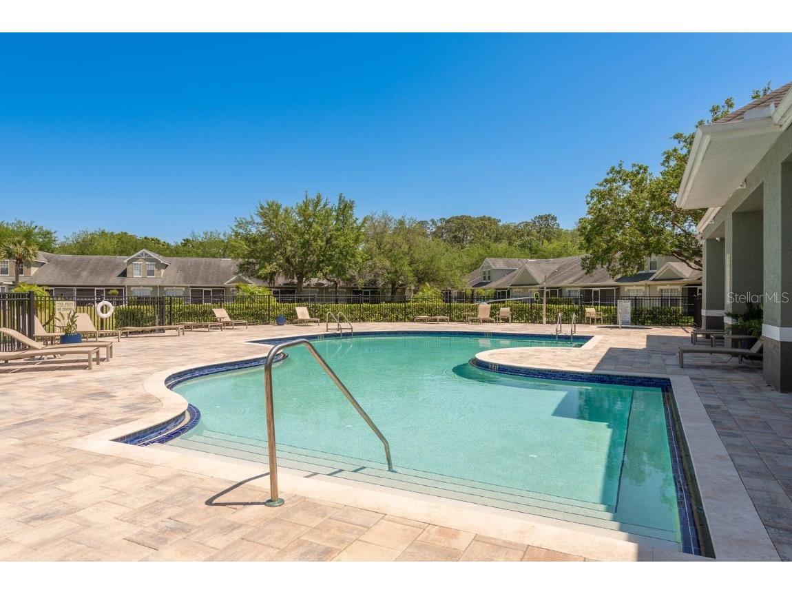 3521 Kings Road #102 Palm Harbor FL 34685 TB8454425 image45