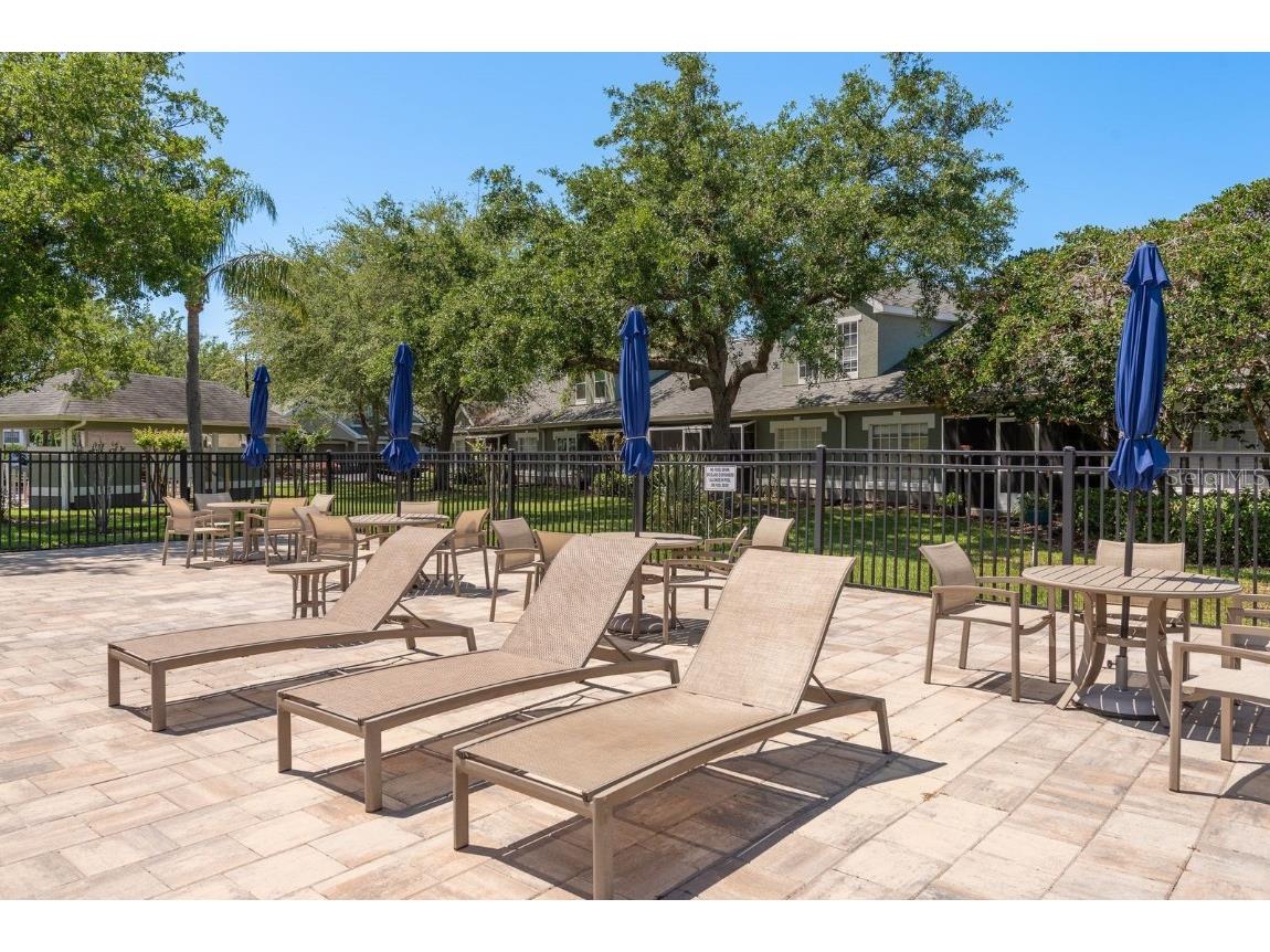 3521 Kings Road #102 Palm Harbor FL 34685 TB8454425 image48