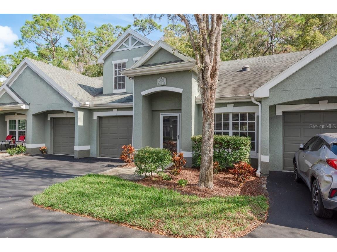 3521 Kings Road #102 Palm Harbor FL 34685 TB8454425 image49