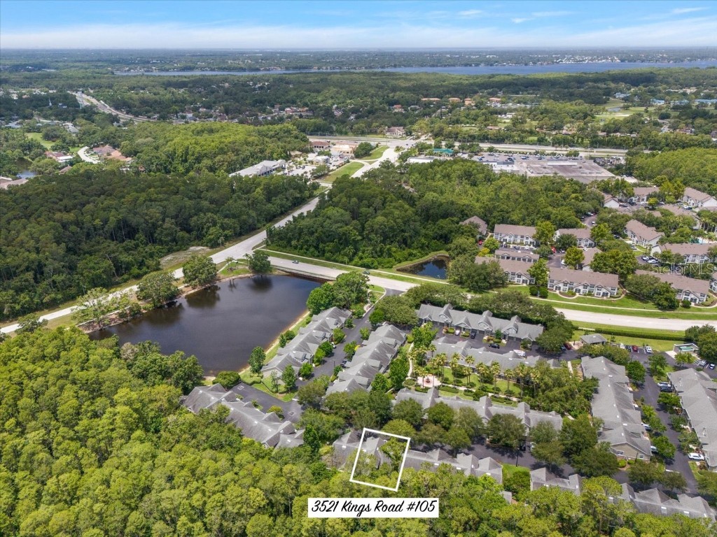 3521 Kings Road #105 Palm Harbor FL 34685 TB8393855 image1