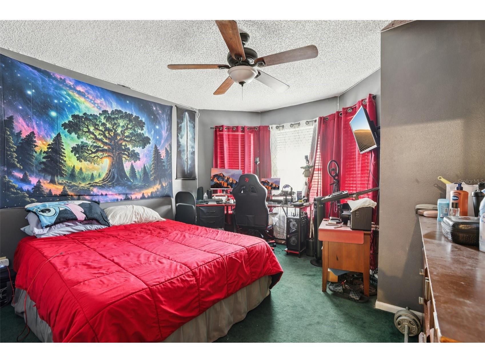 3521 Molona Drive Orlando FL 32837 O6399943 image24