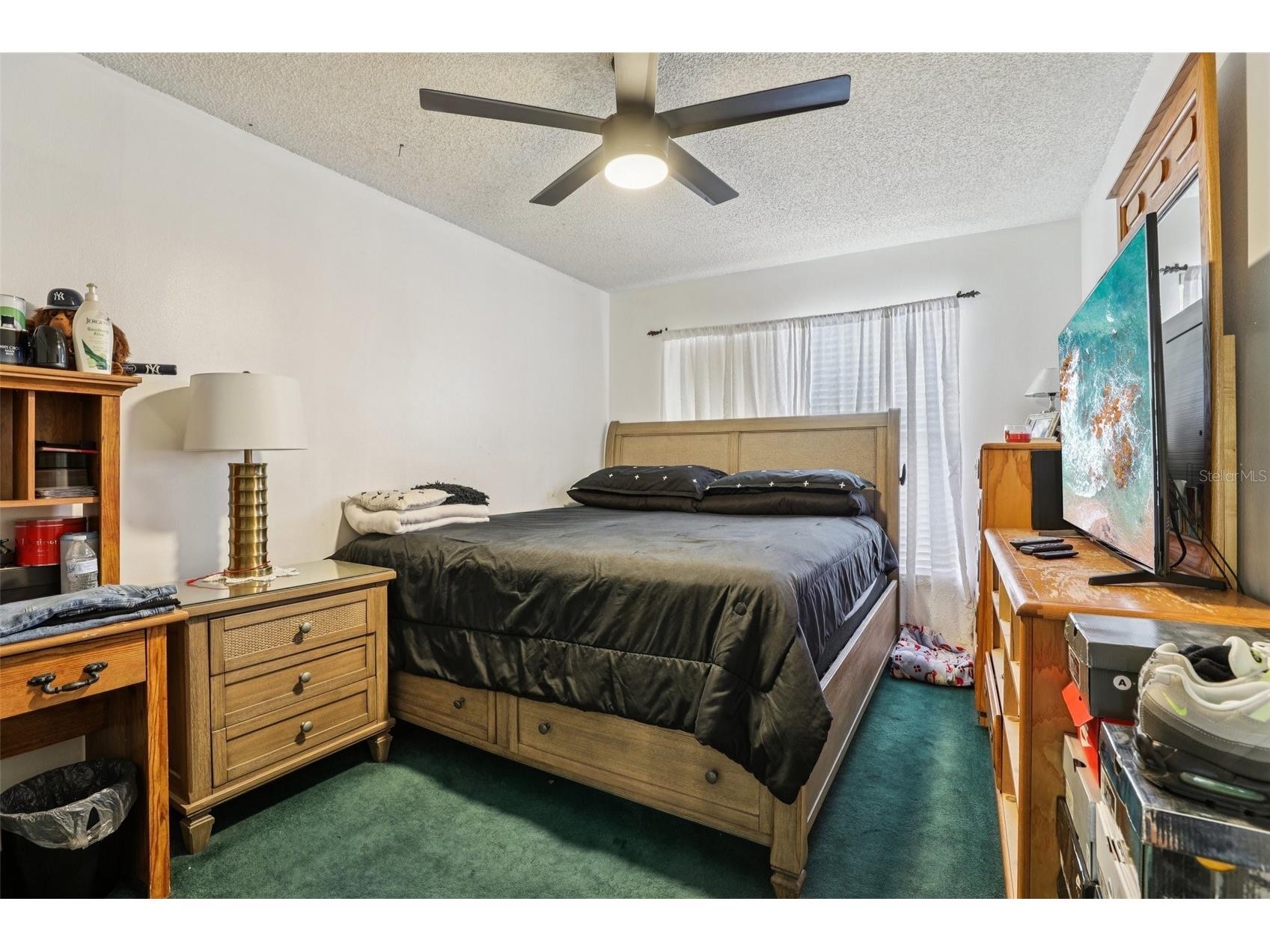 3521 Molona Drive Orlando FL 32837 O6399943 image26