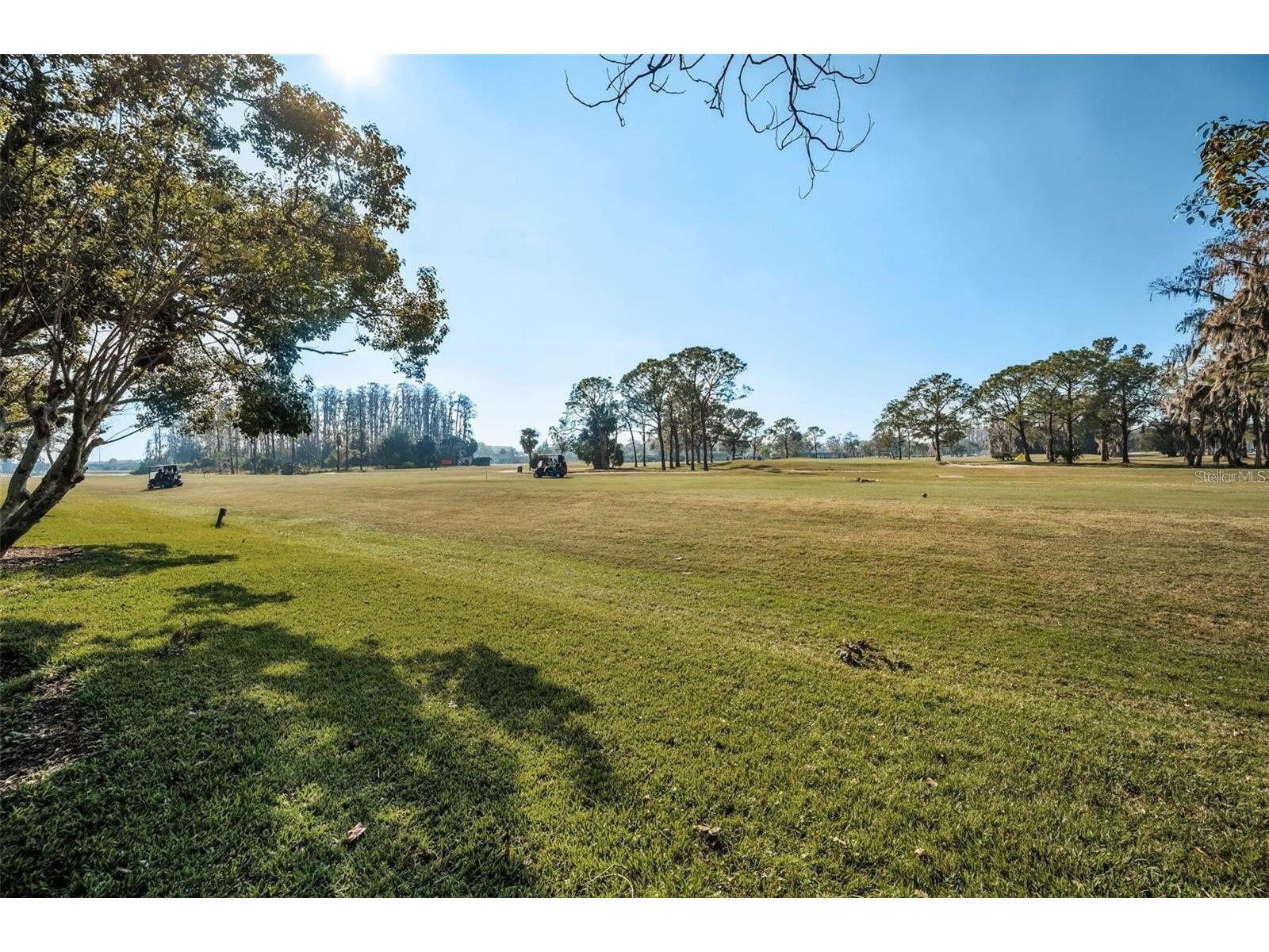 3521 Teeside Drive New Port Richey FL 34655 TB8491612 image3