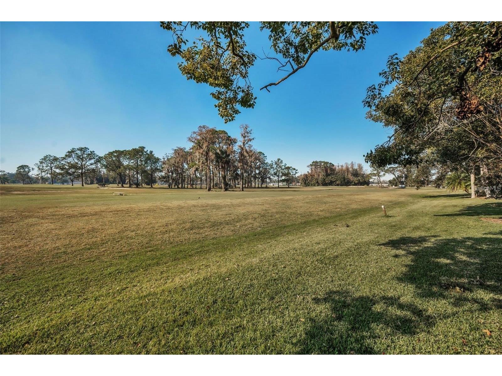 3521 Teeside Drive New Port Richey FL 34655 TB8491612 image37