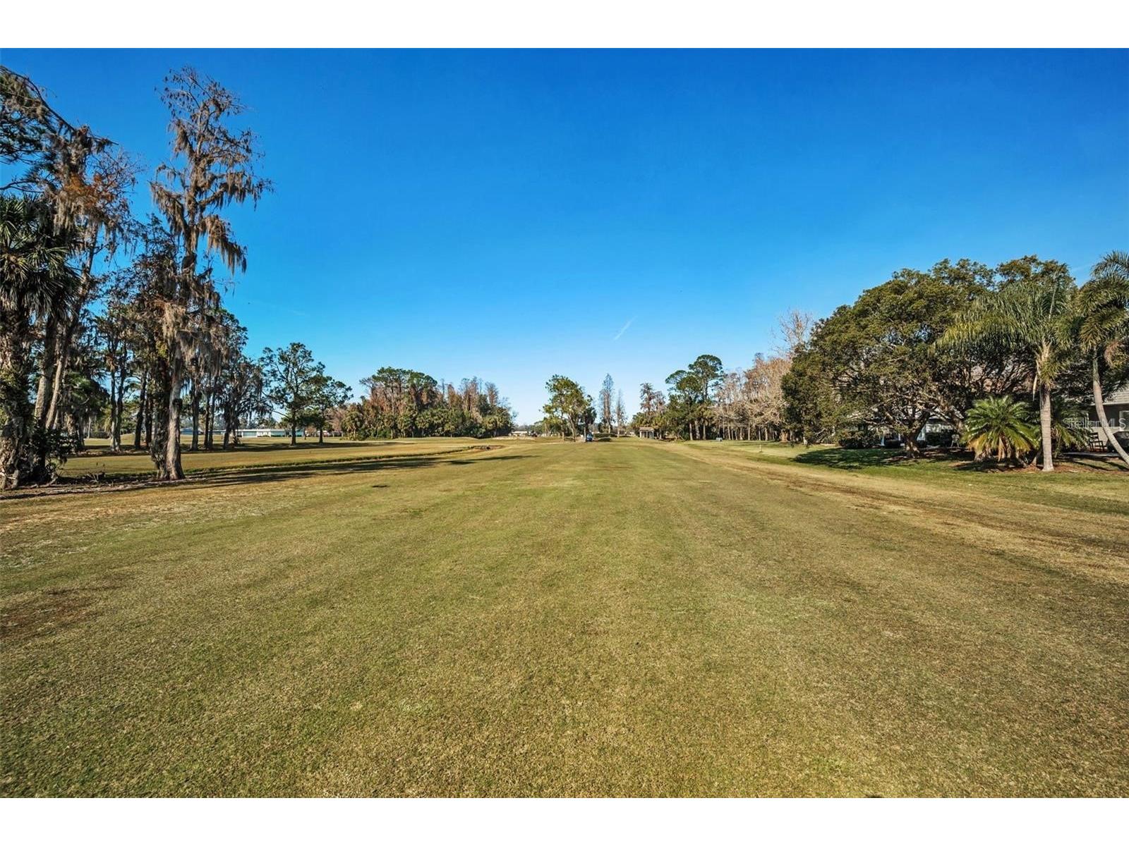 3521 Teeside Drive New Port Richey FL 34655 TB8491612 image38