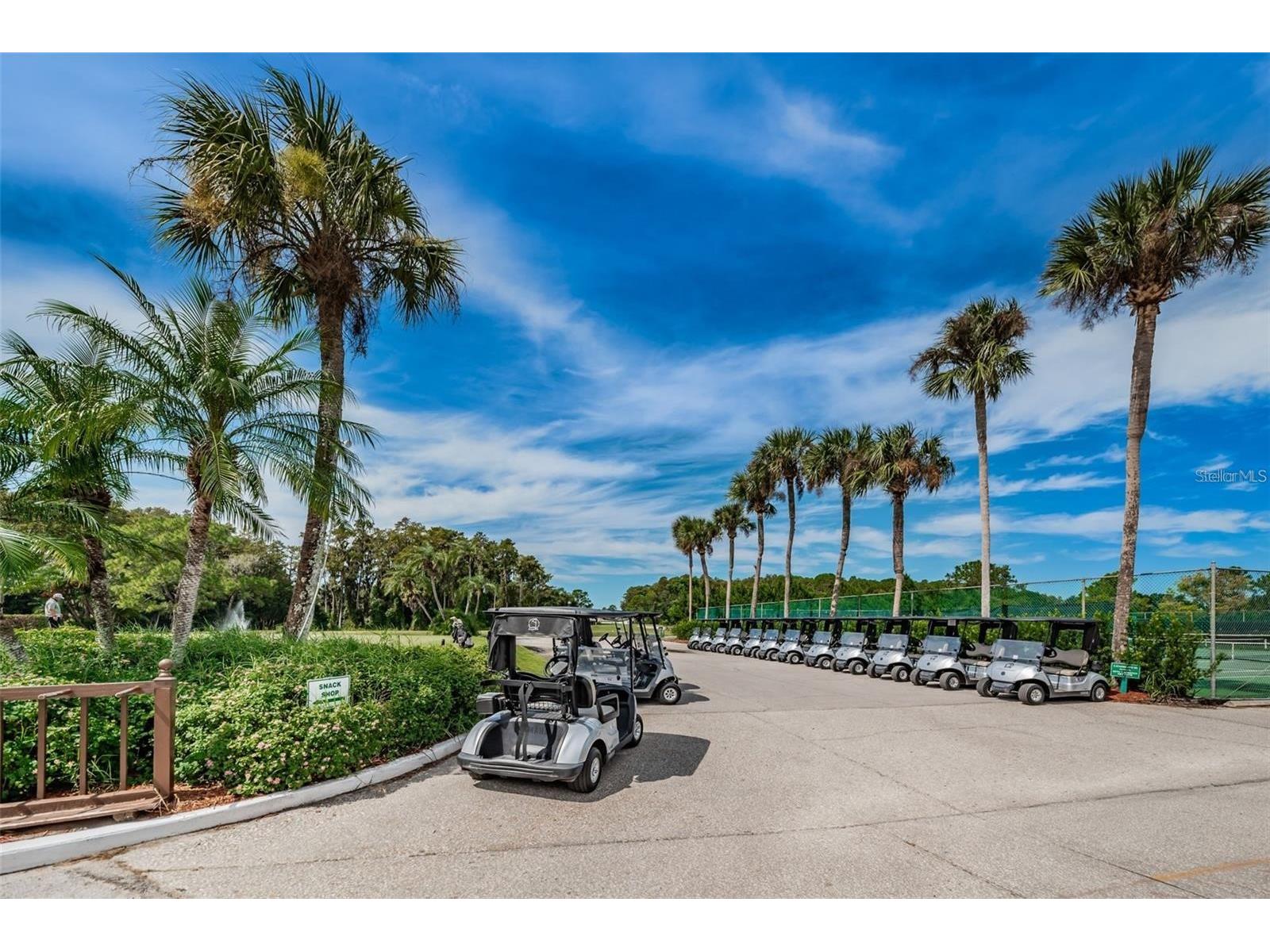 3521 Teeside Drive New Port Richey FL 34655 TB8491612 image61